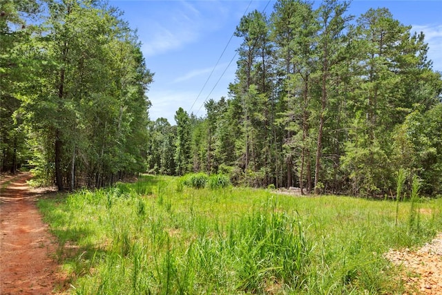00 Old Hamilton Rd, Seneca, SC 29678 - photo 3