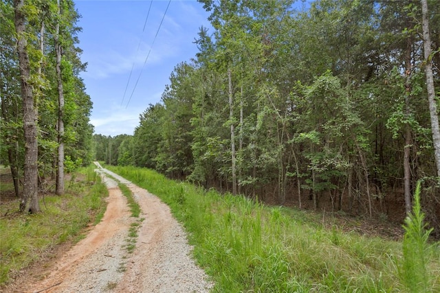 00 Old Hamilton Rd, Seneca, SC 29678 - photo 4