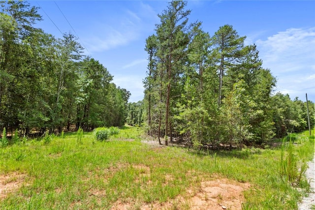 00 Old Hamilton Rd, Seneca, SC 29678 - photo 5