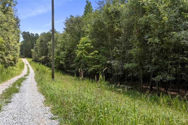 00 Old Hamilton Rd, Seneca, SC 29678 - photo 8