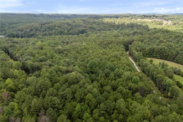 00 Old Hamilton Rd, Seneca, SC 29678 - photo 9
