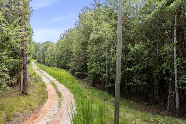 00 Old Hamilton Rd, Seneca, SC 29678 - photo 10