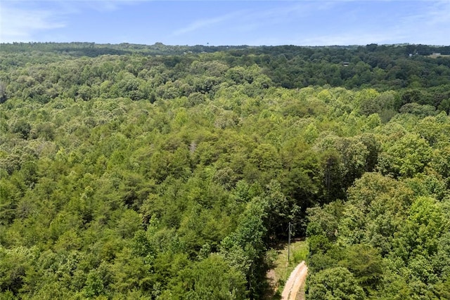 00 Old Hamilton Rd, Seneca, SC 29678 - photo 11