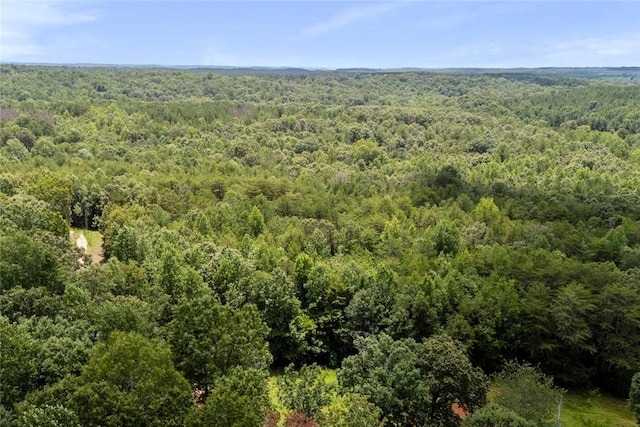 00 Old Hamilton Rd, Seneca, SC 29678 - photo 12
