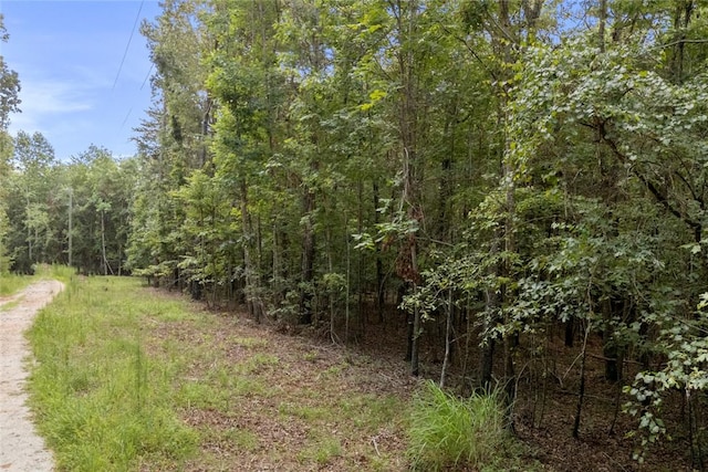 00 Old Hamilton Rd, Seneca, SC 29678 - photo 14
