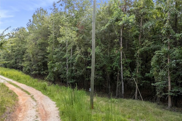 00 Old Hamilton Rd, Seneca, SC 29678 - photo 15