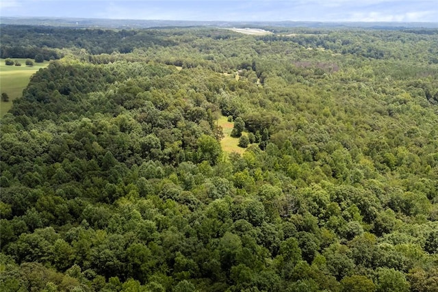 00 Old Hamilton Rd, Seneca, SC 29678 - photo 17