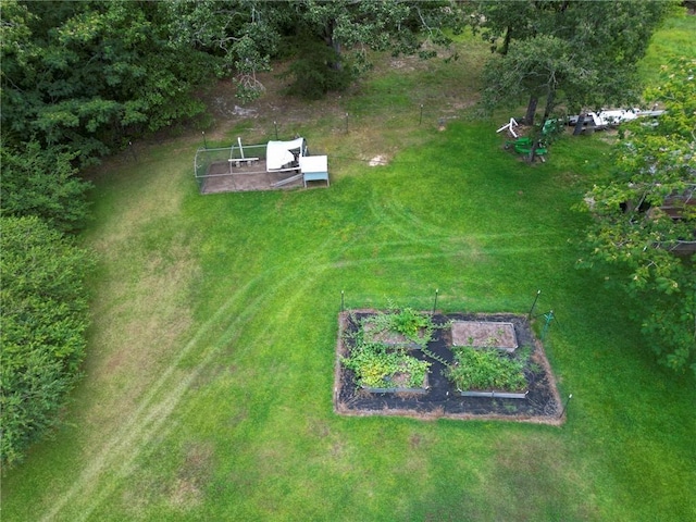 731 Christmas Tree Ln, Walhalla, SC 29691 - photo 19