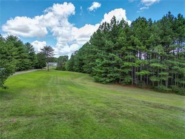 731 Christmas Tree Ln, Walhalla, SC 29691 - photo 22