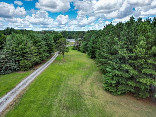 731 Christmas Tree Ln, Walhalla, SC 29691 - photo 23