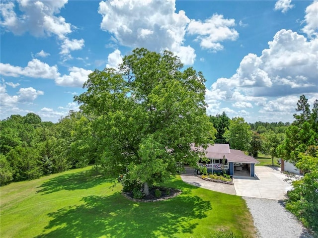 731 Christmas Tree Ln, Walhalla, SC 29691 - photo 12