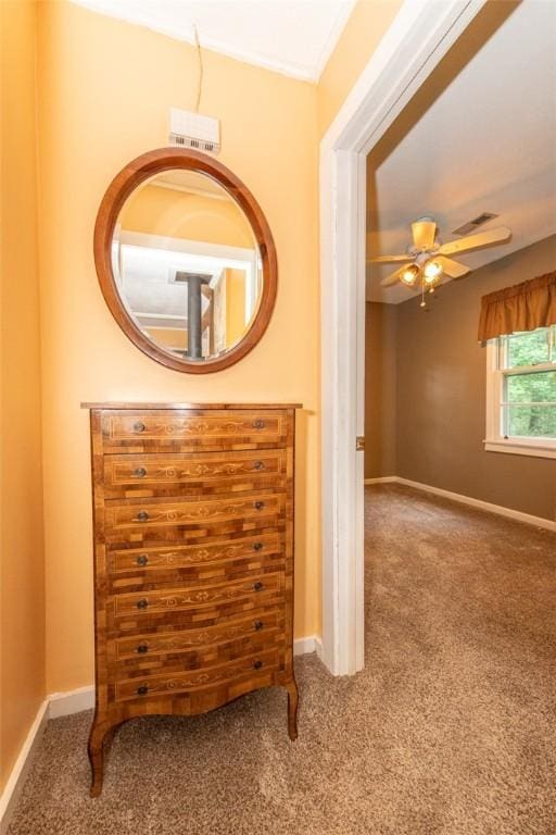 265 Chattooga Lake Rd, Mountain Rest, SC 29664 - photo 35