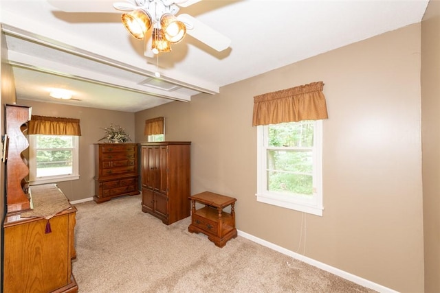 265 Chattooga Lake Rd, Mountain Rest, SC 29664 - photo 38