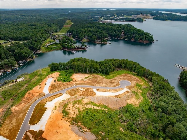 04 War Path Rd, Six Mile, SC 29630 - photo 2