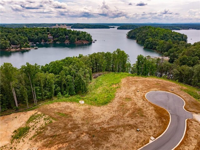 04 War Path Rd, Six Mile, SC 29630 - photo 11
