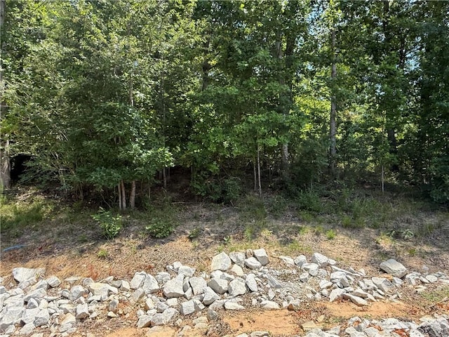LOT12 S Towson Trl, West Union, SC 29696 - photo 2