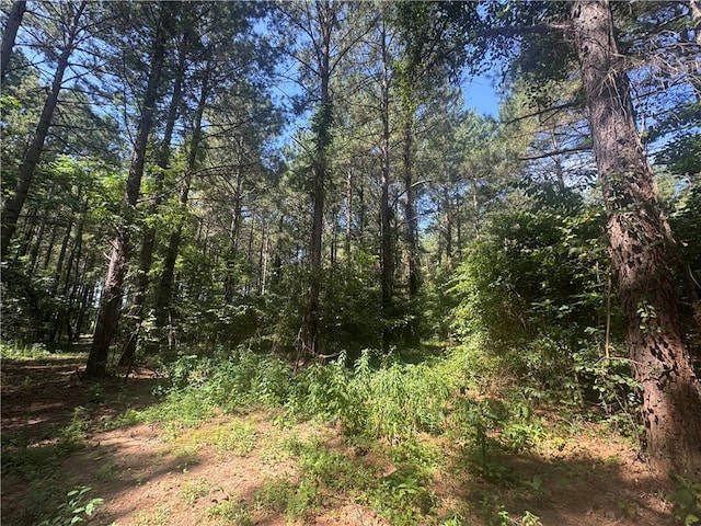 LOT3 Rogers Rd, Pendleton, SC 29670 - photo 5