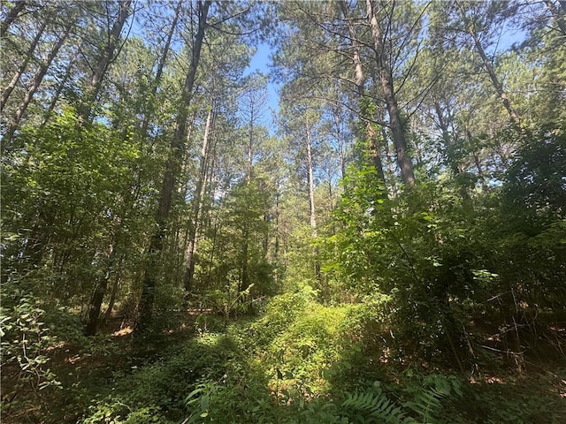 LOT3 Rogers Rd, Pendleton, SC 29670 - photo 6
