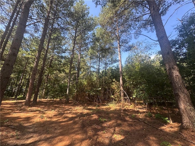 LOT3 Rogers Rd, Pendleton, SC 29670 - photo 7