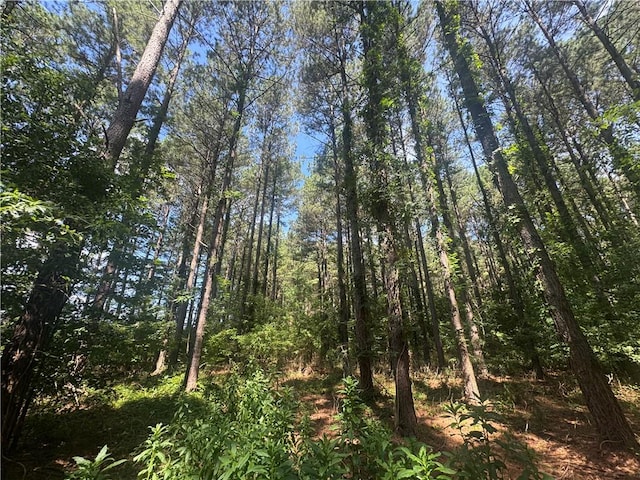 LOT3 Rogers Rd, Pendleton, SC 29670 - photo 8