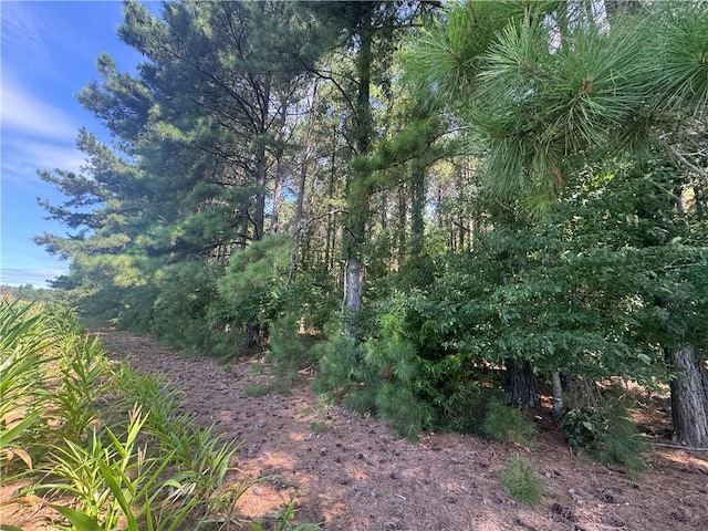 LOT3 Rogers Rd, Pendleton, SC 29670 - photo 10