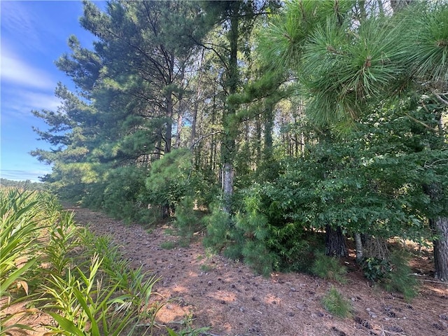 LOT3 Rogers Rd, Pendleton, SC 29670 - photo 11
