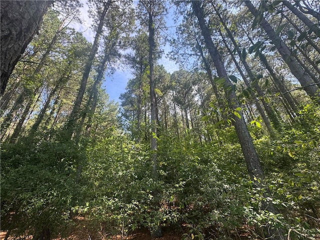 LOT3 Rogers Rd, Pendleton, SC 29670 - photo 12
