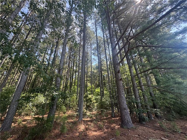 LOT3 Rogers Rd, Pendleton, SC 29670 - photo 16