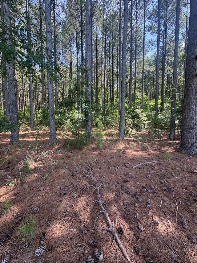 LOT3 Rogers Rd, Pendleton, SC 29670 - photo 17