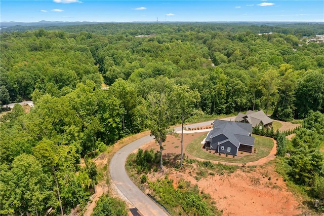 463 Kensington Cir, Seneca, SC 29678 - photo 41