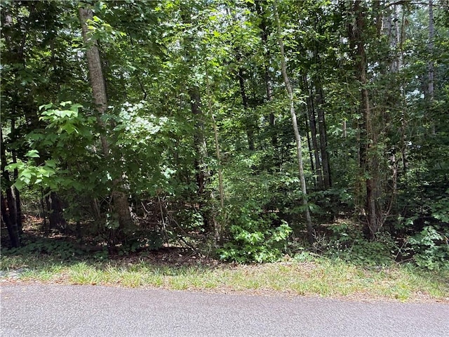 238 Brandywine Dr, Westminster, SC 29693 - photo 3