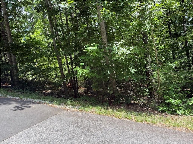 238 Brandywine Dr, Westminster, SC 29693 - photo 4