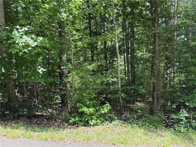 238 Brandywine Dr, Westminster, SC 29693 - photo 5