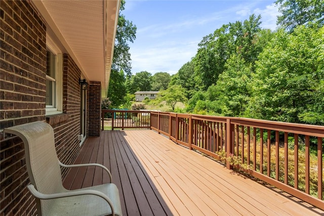 105 Laurel Ln, Seneca, SC 29678 - photo 26