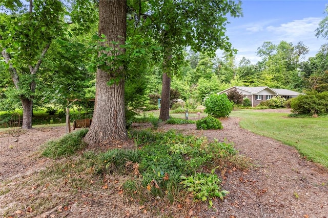 105 Laurel Ln, Seneca, SC 29678 - photo 31