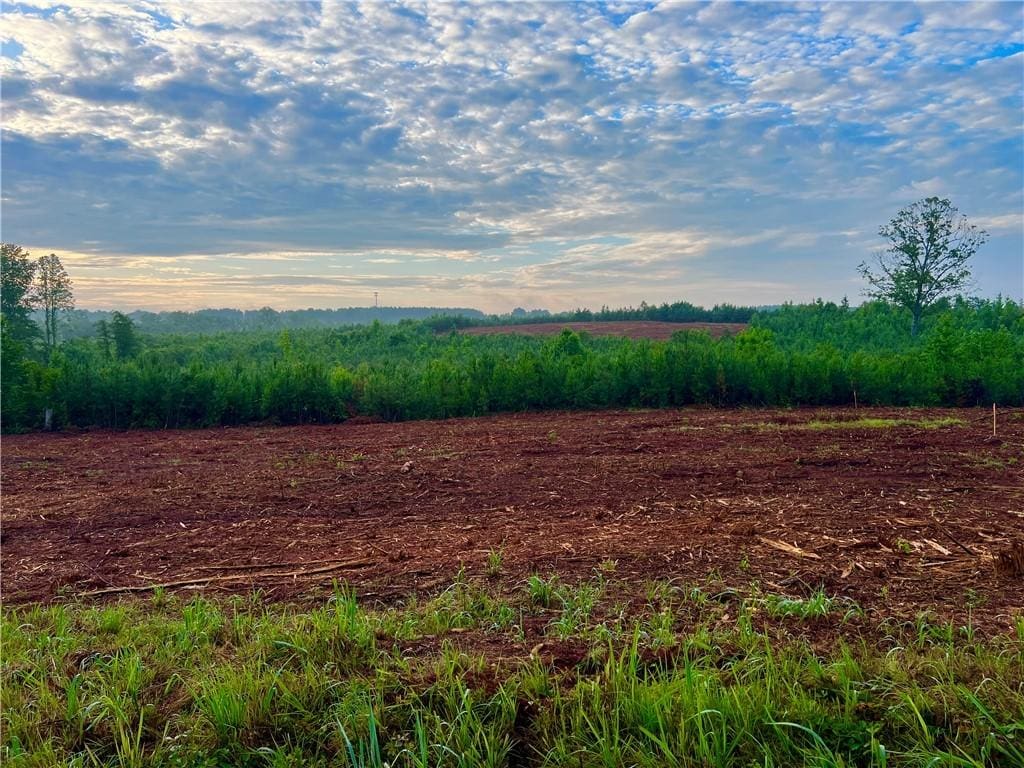 LOT10, 11, AND12 Pickens Dr, Pendleton, SC 29670 - photo 2