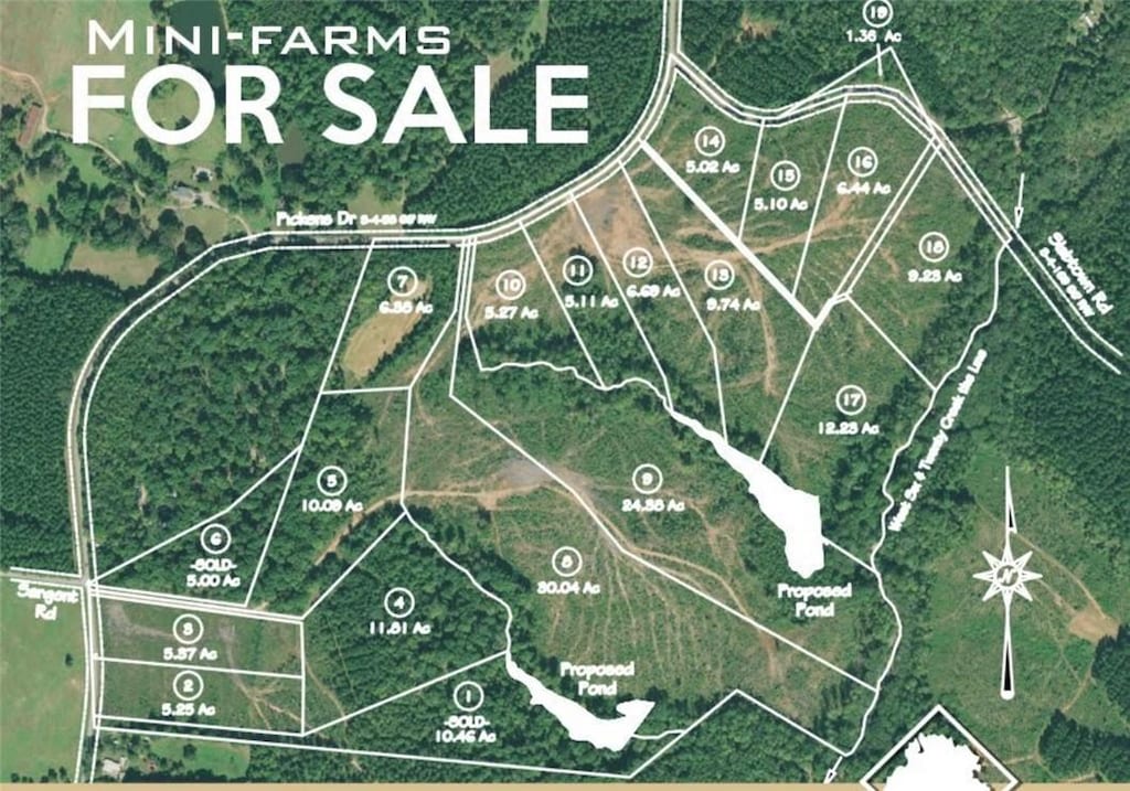 LOT10, 11, AND12 Pickens Dr, Pendleton, SC 29670 - photo 4