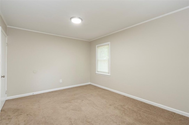 309 Wellington Ct, Anderson, SC 29624 - photo 14