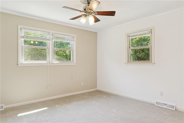 412 Bishop Branch Rd, Pendleton, SC 29670 - photo 13