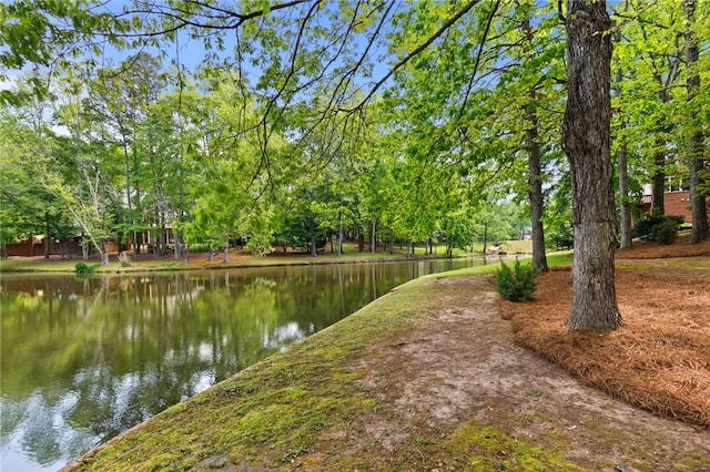 103 Greenleaf Ln, Easley, SC 29642 - photo 38
