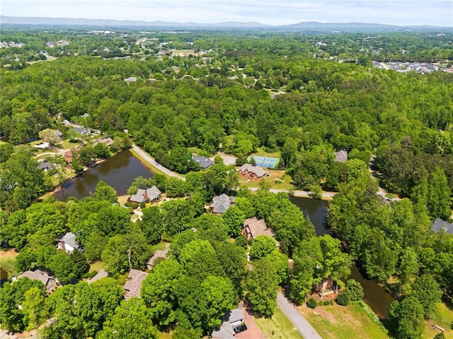 103 Greenleaf Ln, Easley, SC 29642 - photo 43