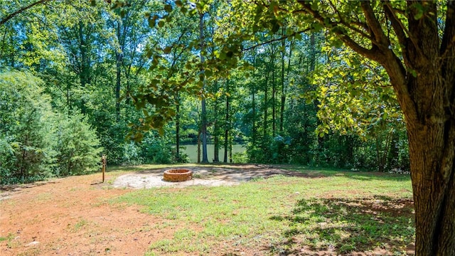 284 Huntington Dr, Liberty, SC 29657 - photo 37