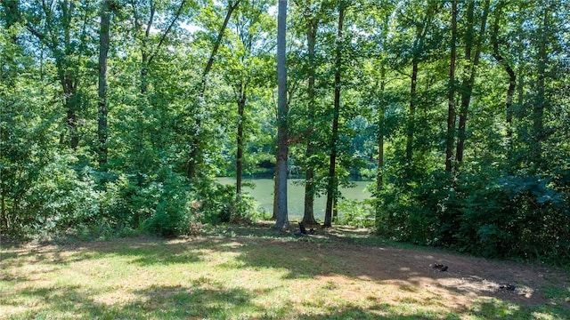 284 Huntington Dr, Liberty, SC 29657 - photo 40
