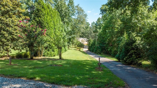 284 Huntington Dr, Liberty, SC 29657 - photo 41
