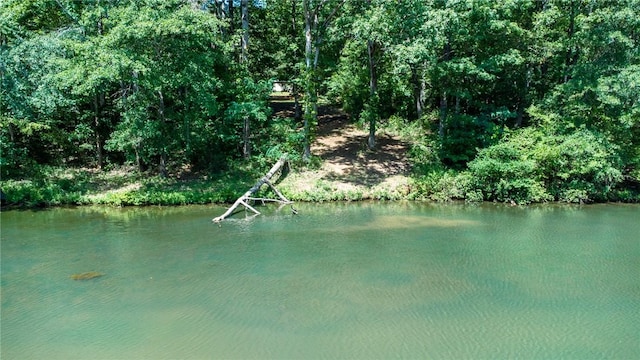 284 Huntington Dr, Liberty, SC 29657 - photo 44