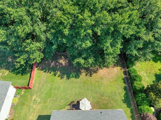 100 Birchleaf Ln, Greer, SC 29650 - photo 40