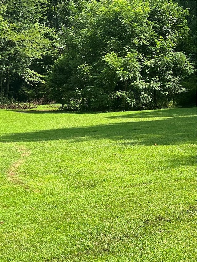 256 Red Mountain Rd, Mountain Rest, SC 29664 - photo 5