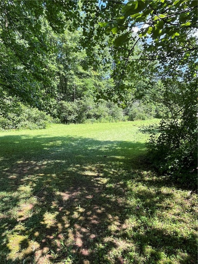 256 Red Mountain Rd, Mountain Rest, SC 29664 - photo 19