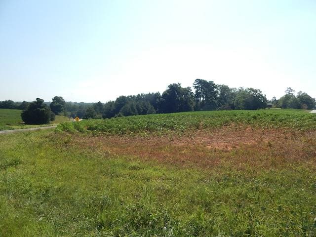 00 Return Church Rd, Seneca, SC 29678 - photo 2