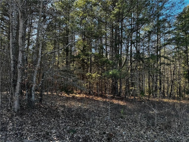 TR4 Corner Rd, Belton, SC 29627 - photo 1